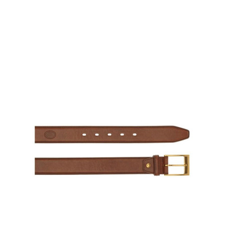 Cintura Uomo con fibbia oro The Bridge Story Uomo 03621301-Marrone