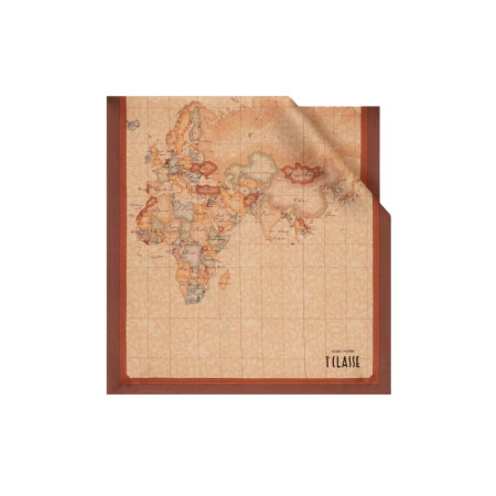 Sciarpa Donna Stola 48x180 Alviero Martini Castagna  Valigeria.it