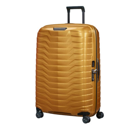 Trolley Rigido Grande Samsonite Proxis CW6003  Valigeria.it