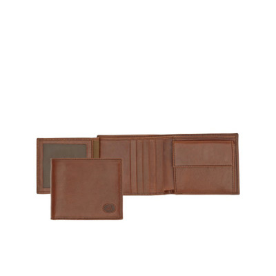 Portafoglio Uomo The Brdige | Linea Story Uomo | 01425601-marrone