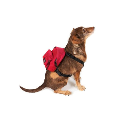 Travel Accessori Dog Pak'r Eastpak EK0A5BE084Z Sailor Red Valigeria-it