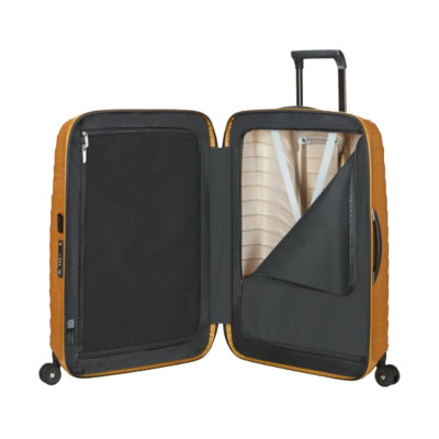 Trolley Rigido Medio Samsonite Proxis CW6002  Valigeria.it