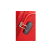 Trolley Morbido Base Boost Samsonite Red  Valigeria.it
