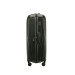 Trolley Rigido Grande Major-Lite Samsonite Climbing Ivy  Valigeria.it